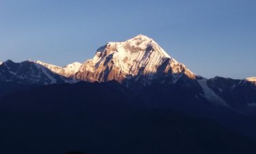 Mt. Annapurna
