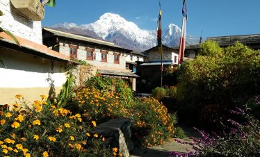 Poon Hill Village