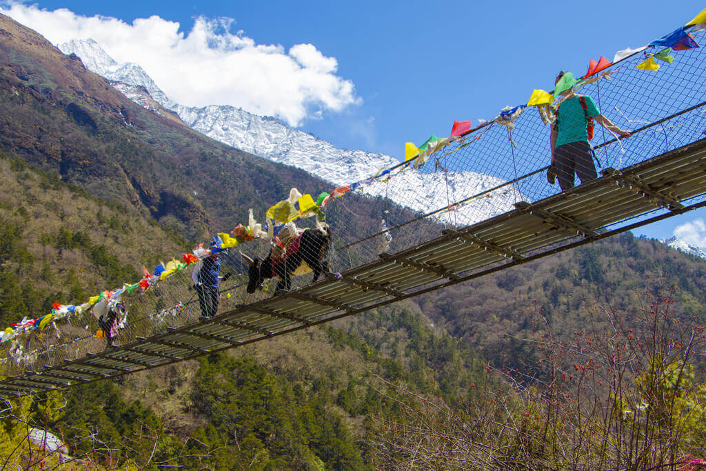 Suspension Bridge Everest Base Camp